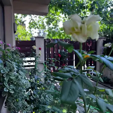 Luminoasa Cu Curte Privata Bukareszt