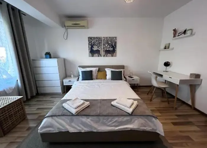 Villa Luminoasa Cu Curte Privata *