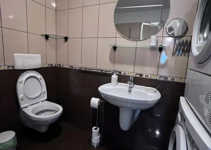 Luminoasa Cu Curte Privata Villa Bükreş