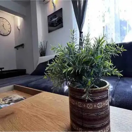 Luminoasa Cu Curte Privata Villa