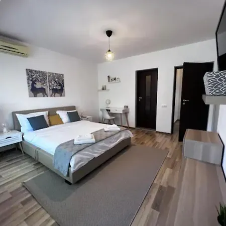 Luminoasa Cu Curte Privata * Bucharest