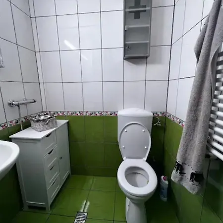 Villa Luminoasa Cu Curte Privata