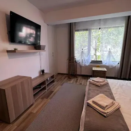 Villa Luminoasa Cu Curte Privata Bucarest