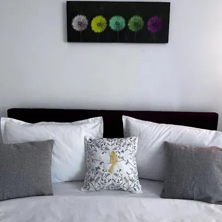 Luminoasa Cu Curte Privata * 布加勒斯特