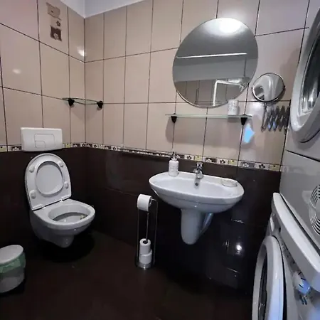 Luminoasa Cu Curte Privata Villa Bucarest