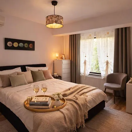 Luminoasa Cu Curte Privata