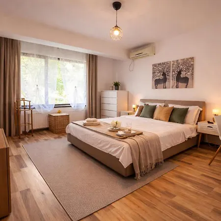 Luminoasa Cu Curte Privata Villa *