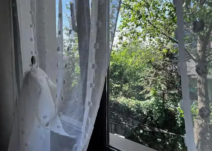 Luminoasa Cu Curte Privata וילה *