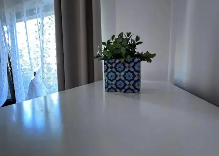 Luminoasa Cu Curte Privata