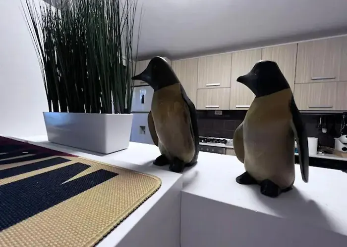 ヴィラ Luminoasa Cu Curte Privata *