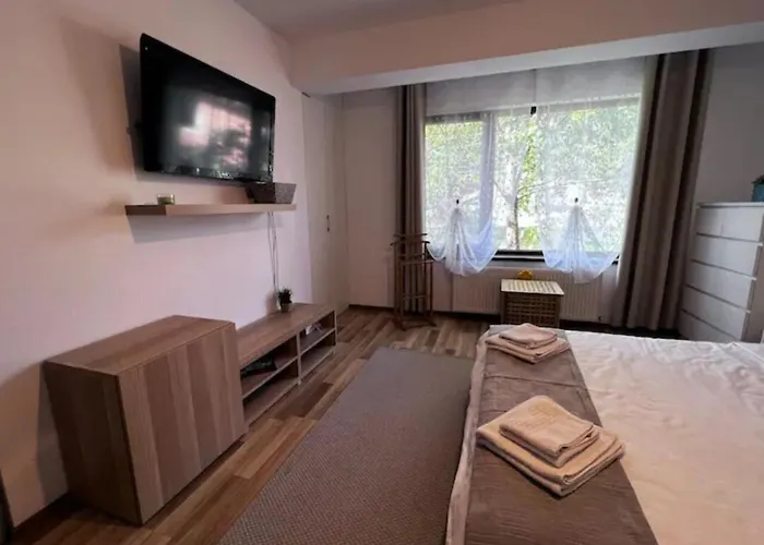 Villa Luminoasa Cu Curte Privata Bucareste