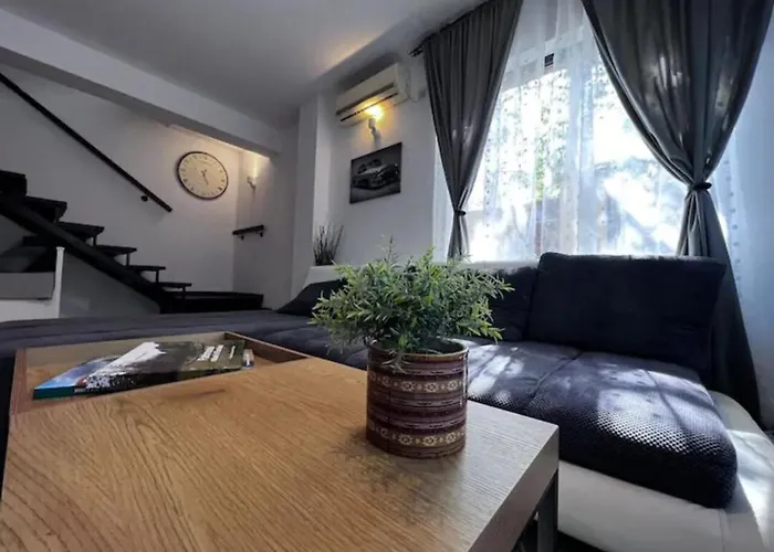 Villa Luminoasa Cu Curte Privata *