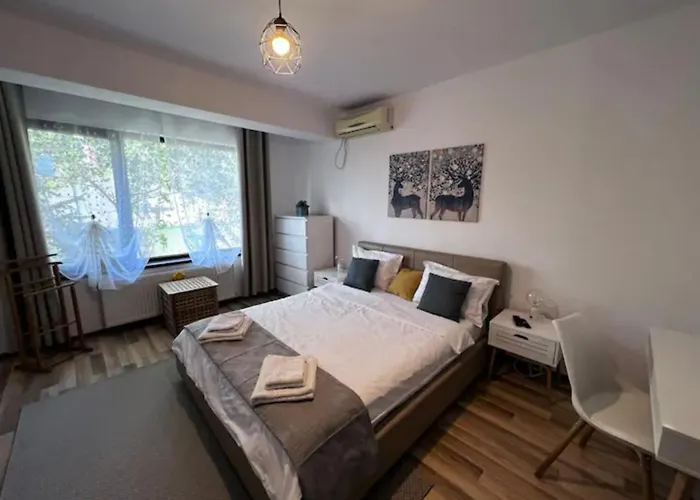 Luminoasa Cu Curte Privata Villa Bukarest