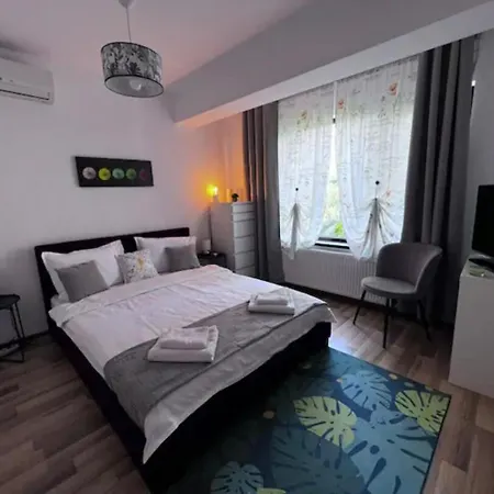 Villa Luminoasa Cu Curte Privata *