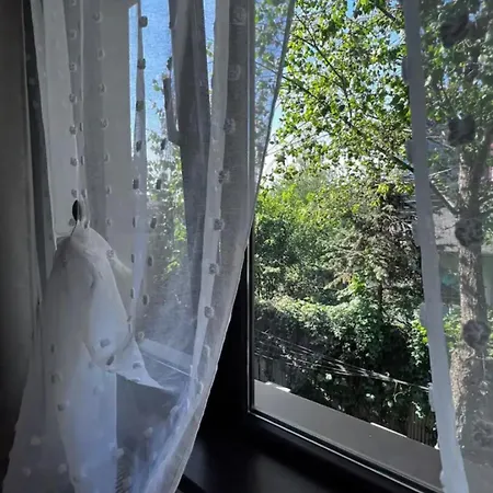 Luminoasa Cu Curte Privata Villa *