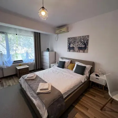 Luminoasa Cu Curte Privata Villa Bukarest