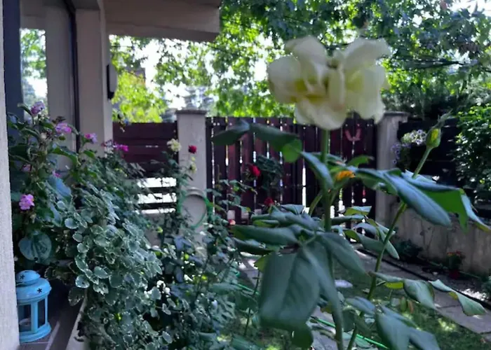 Luminoasa Cu Curte Privata Βουκουρέστι